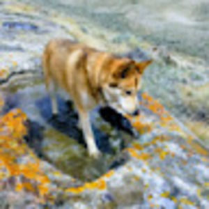 Meet your Posher, Karina